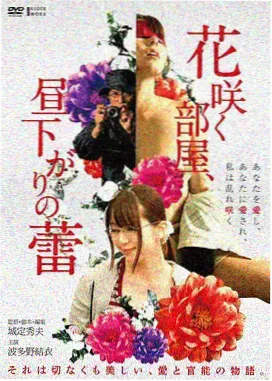 科幻悬疑剧第七次日落剧集海报